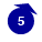 5.0
