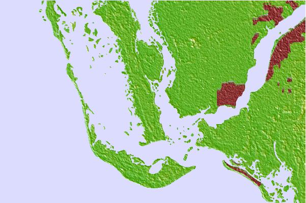 Tide stations located close to Tropical Homesites Landing, Pine Island, Florida