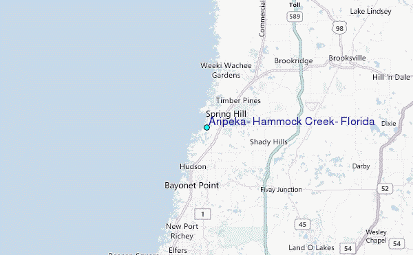 Aripeka, Hammock Creek, Florida Tide Station Location Map