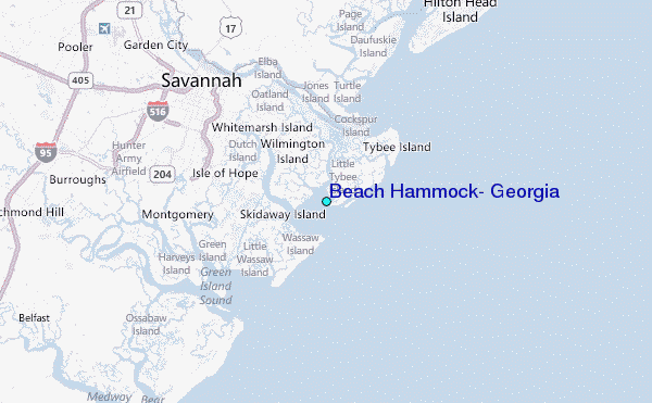 Beach Hammock, Georgia Tide Station Location Map
