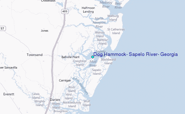 Dog Hammock, Sapelo River, Georgia Tide Station Location Map
