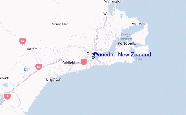 Dunedin Tide Chart