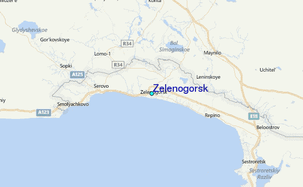 Zelenogorsk Tide Station Location Map