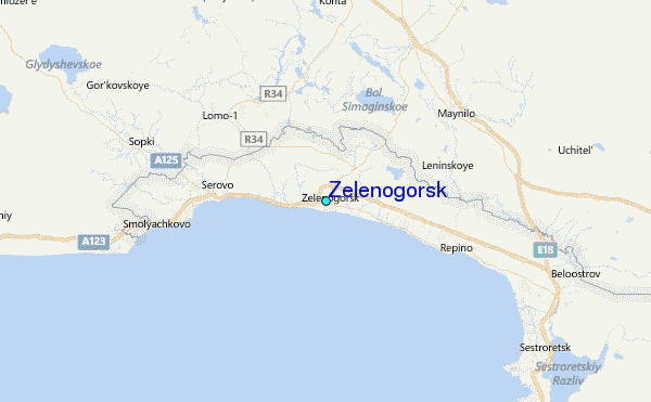 Zelenogorsk Tide Station Location Guide