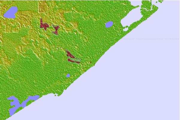 Surfside Tide Chart