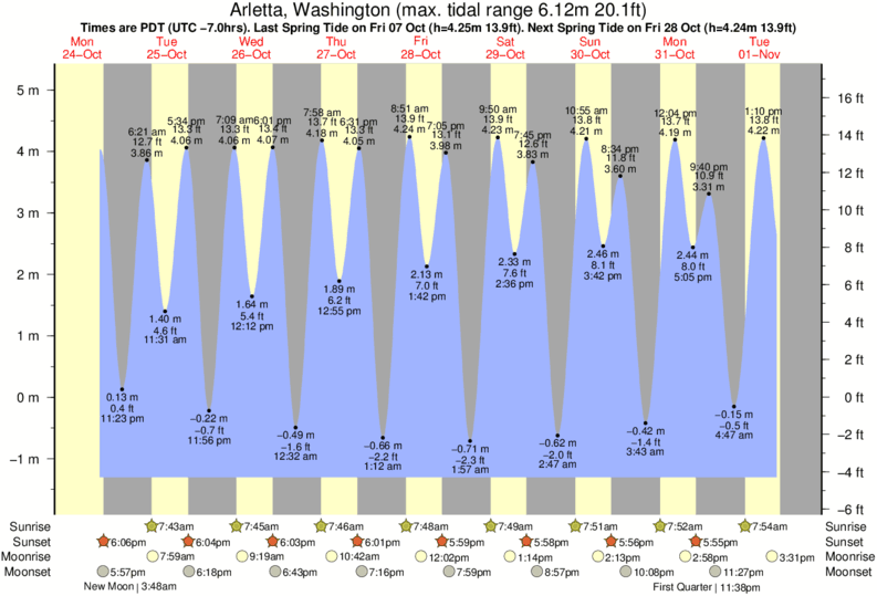 Tacoma Tide Chart