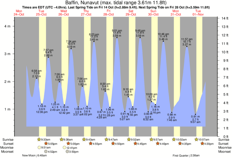 Clearwater Tide Chart