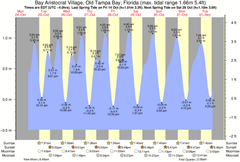 Tampa Bay Fishing Tide Chart