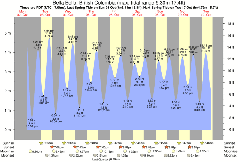 Tide Chart Central Coast