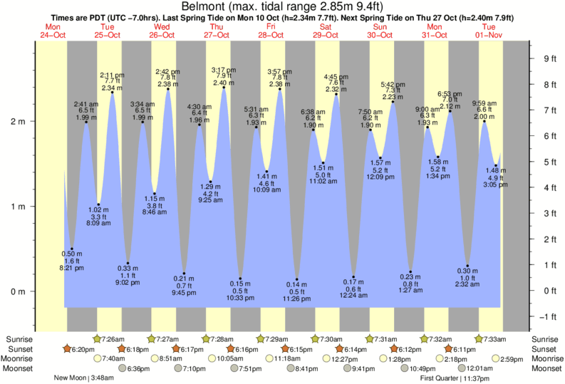 Mill Valley Tide Chart