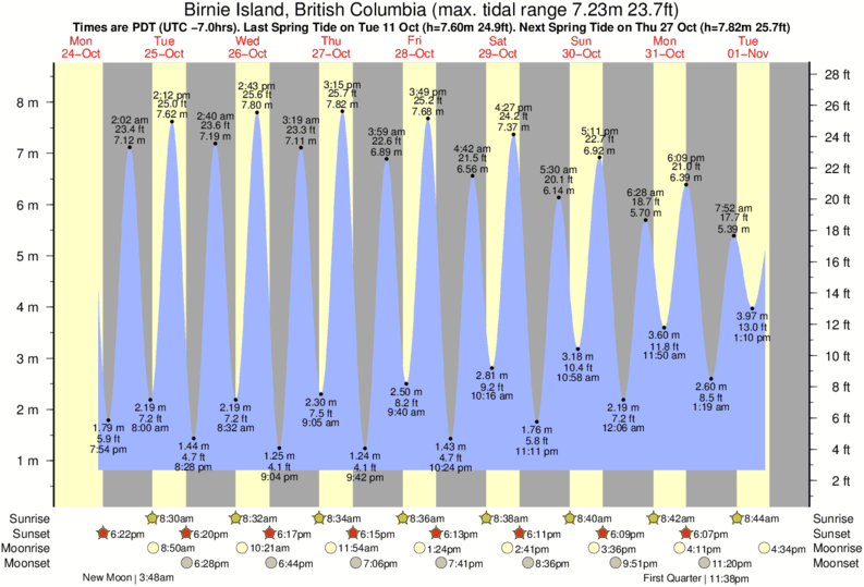 Florence Tide Chart