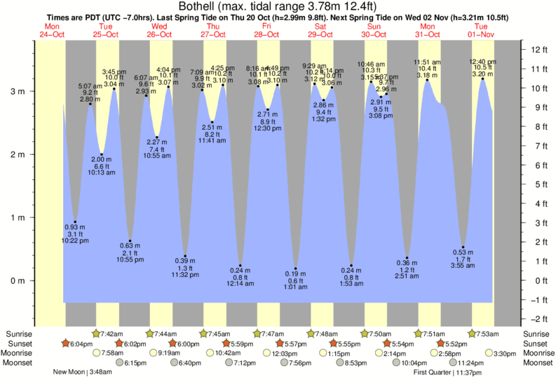 Tacoma Narrows Tide Chart