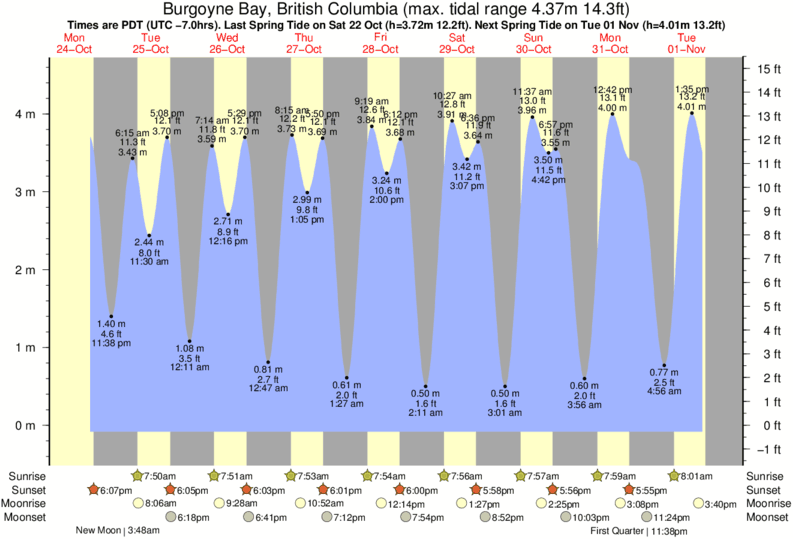 James Bay Tide Chart