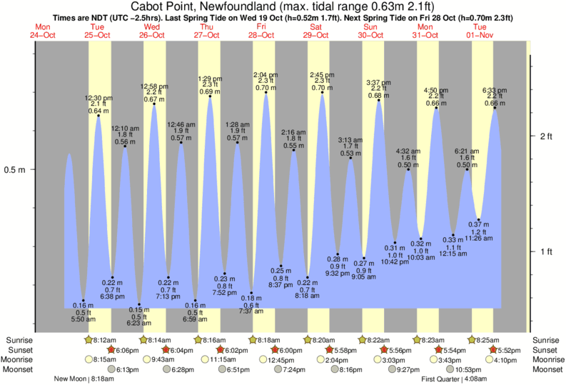 Avalon Tide Chart