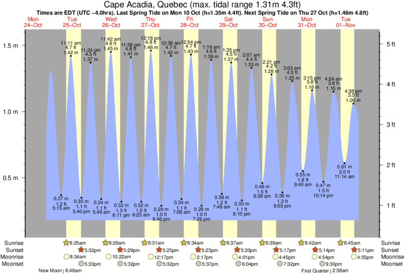 Acadia Tide Chart