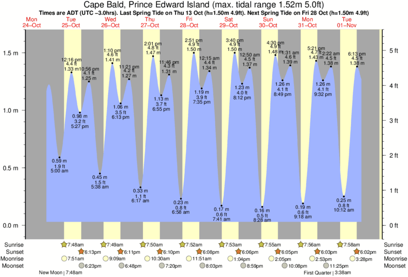 Tide Chart St John Nb Canada