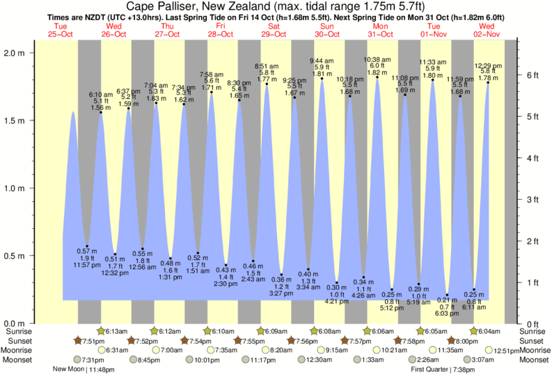 Tide Times and Tide Chart for Cape Palliser