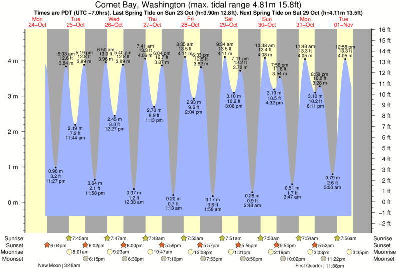 Bellingham Tide Chart