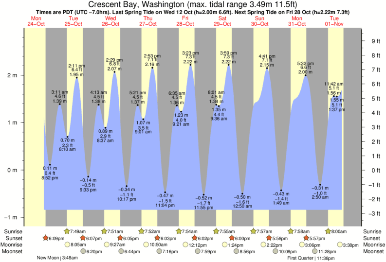 Budd Inlet Tide Chart