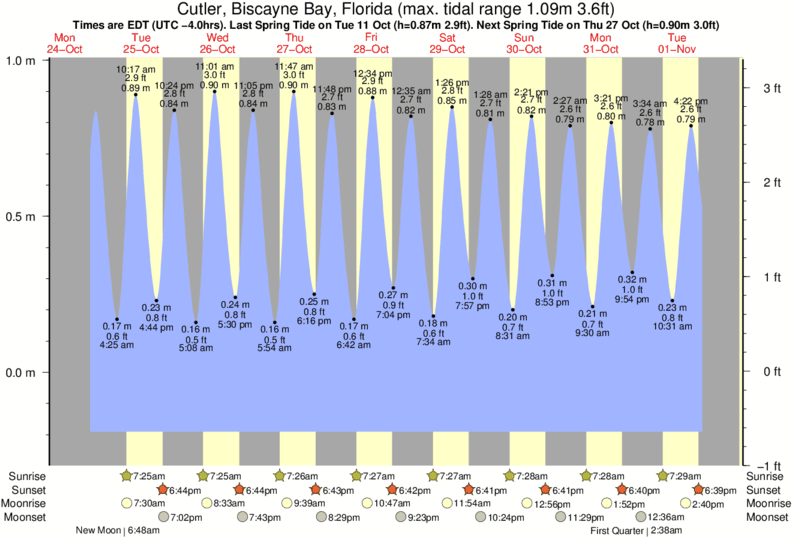 Johns Pass Tide Chart