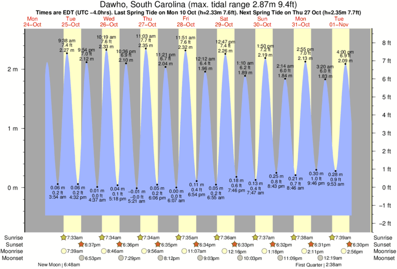 Garden City Pier Tide Chart