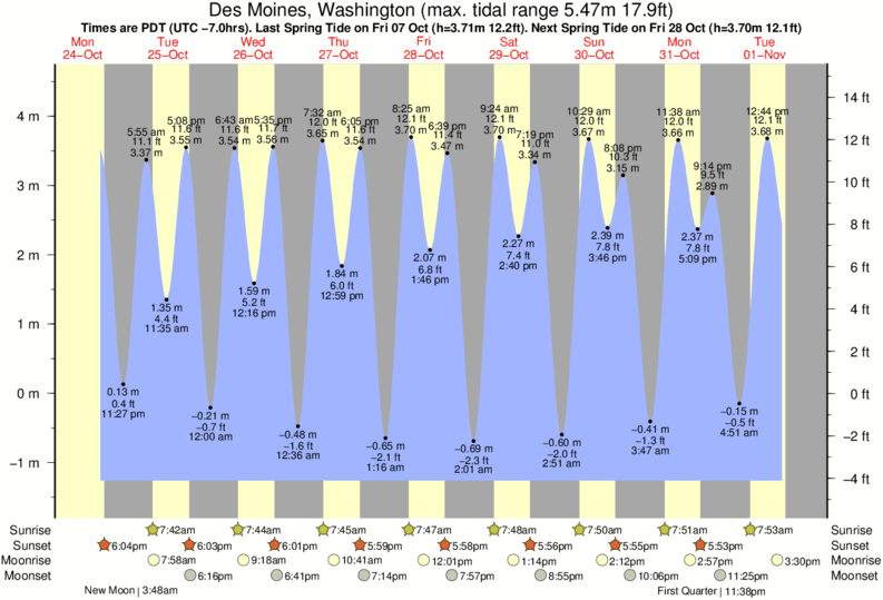 Des Moines Wa Tide Chart