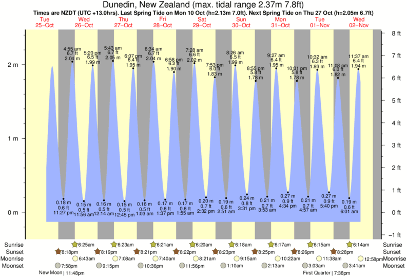 Dunedin Tide Chart
