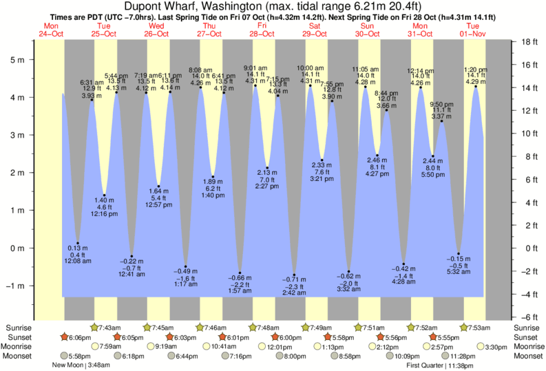 Bellingham Tide Chart