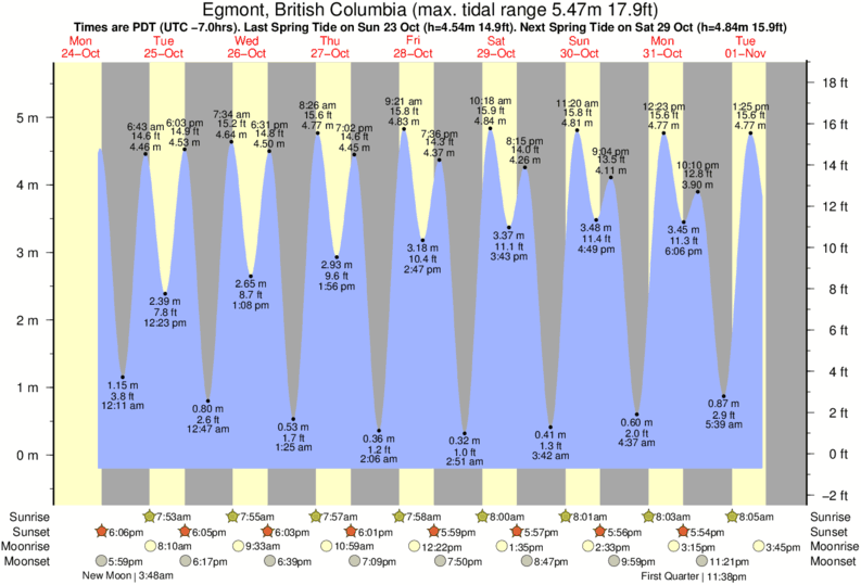 Egmont Key Tide Chart