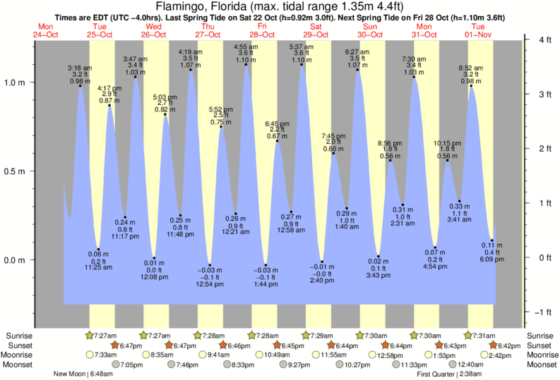 St Marys Georgia Tide Chart