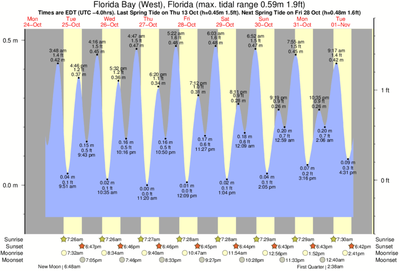 Northeast Florida Tide Chart