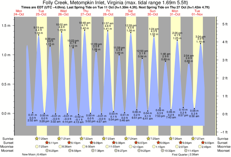 Folly Beach Tide Chart