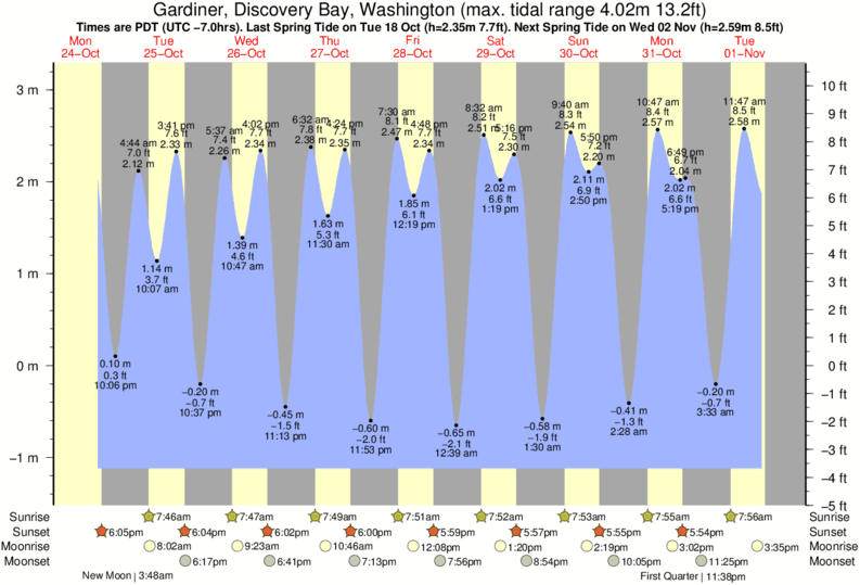 Discovery Bay Tide Chart