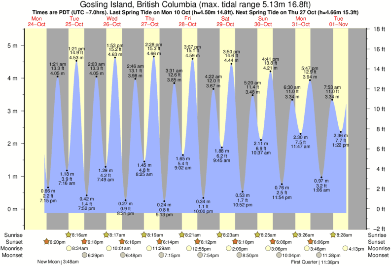 Denman Island Tide Chart