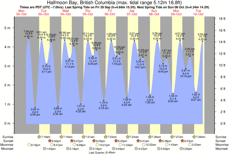 Half Moon Bay Tide Pools Charts