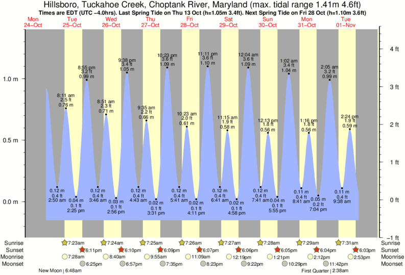 Choptank River Chart