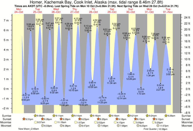 Homer Alaska Tide Chart