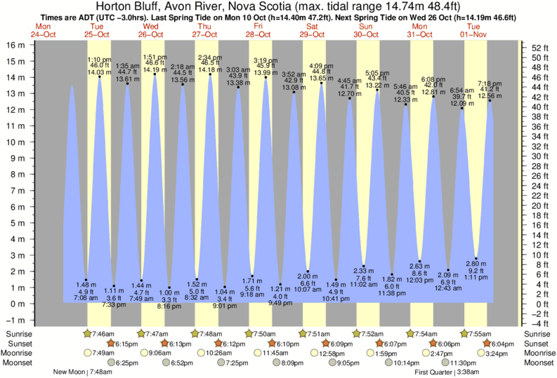 Blue Heron Bridge Tide Chart