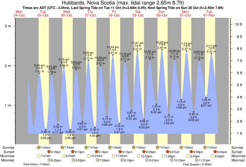 Laguna Beach Tide Chart