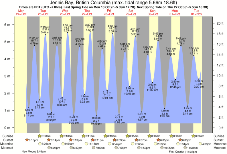 Comox Tide Chart