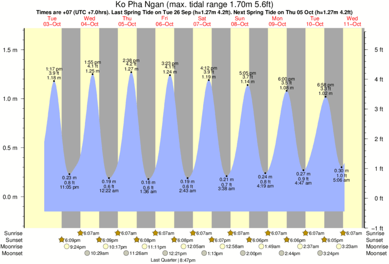 Annual Tide Chart