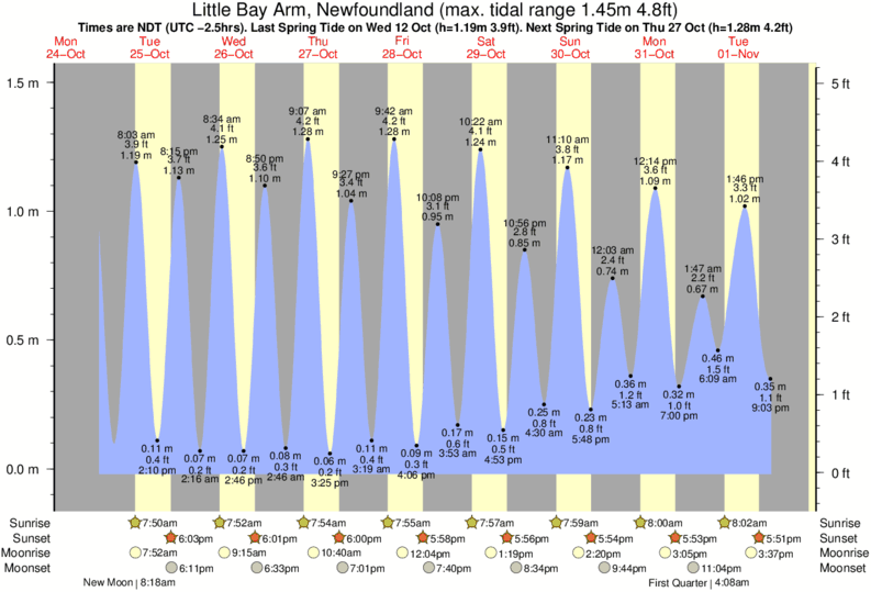 Seal Beach Tide Chart