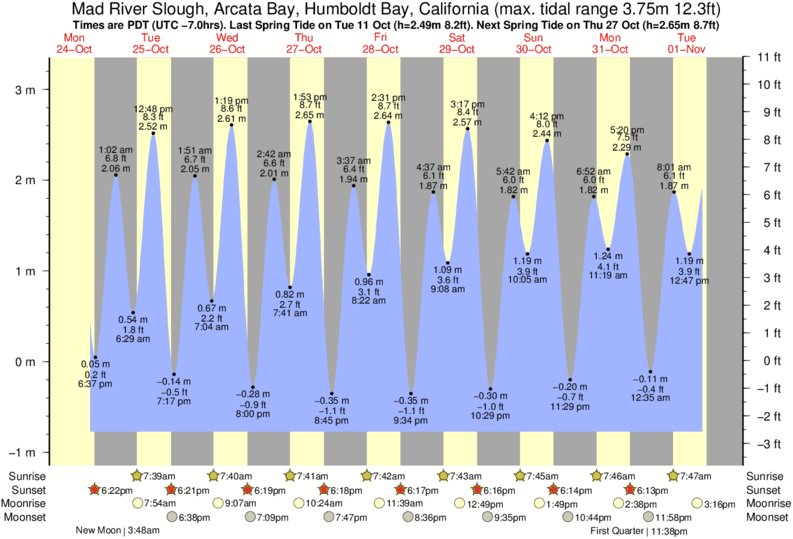 Avila Beach Tide Chart