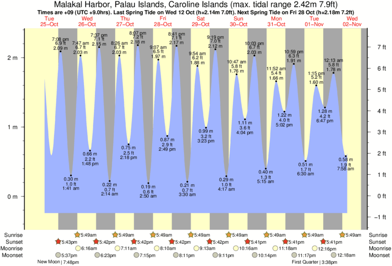 Friday Harbor Tide Chart