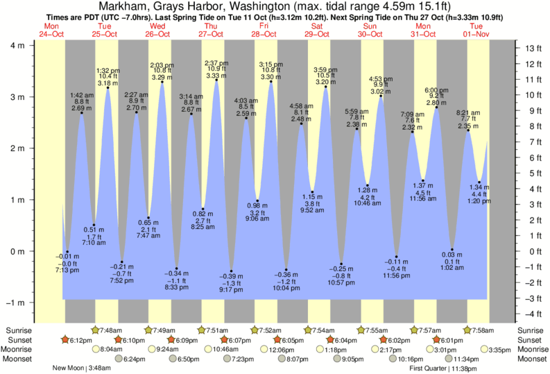 Tacoma Narrows Tide Chart