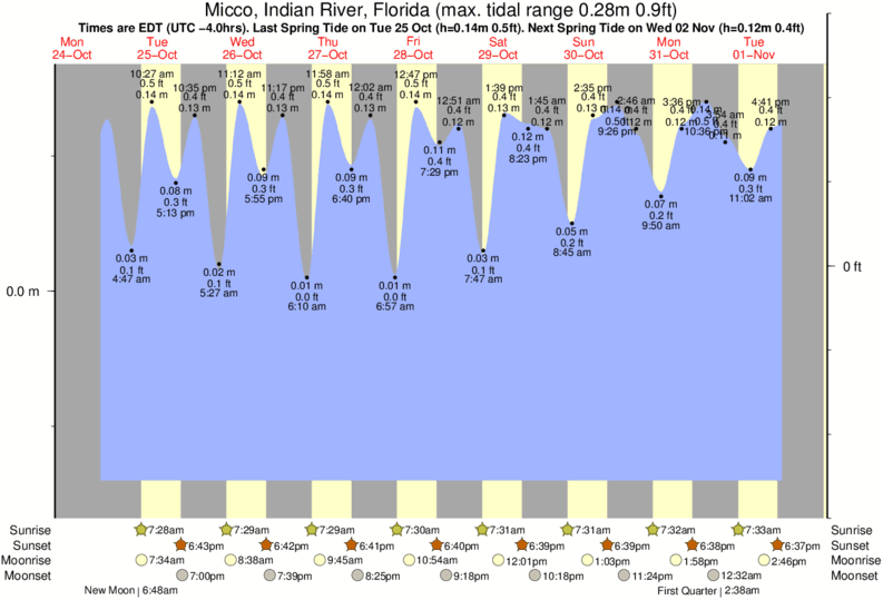 Indian River Inlet Tide Chart