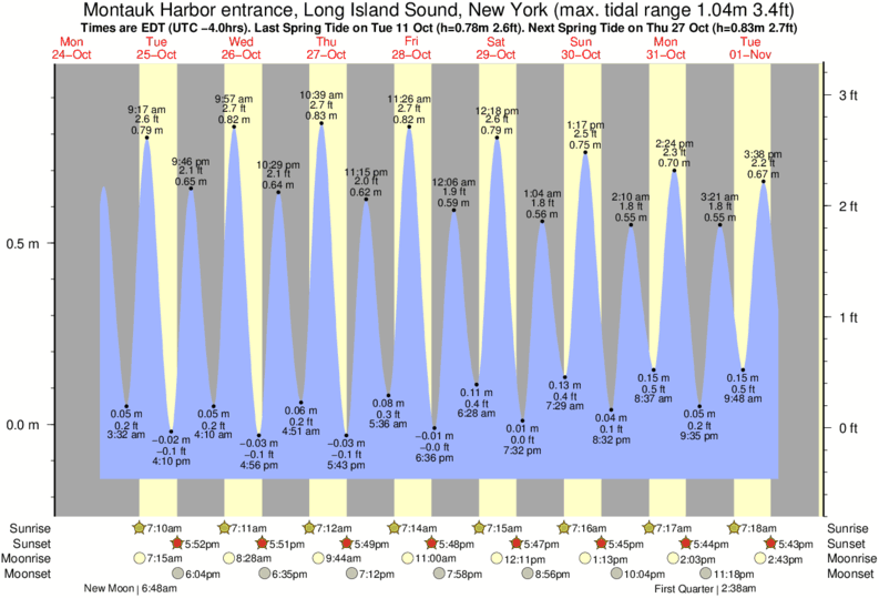 Montauk Tide Chart