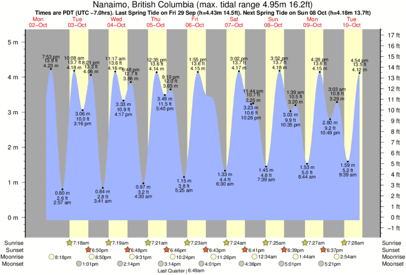 Georgia Tide Chart