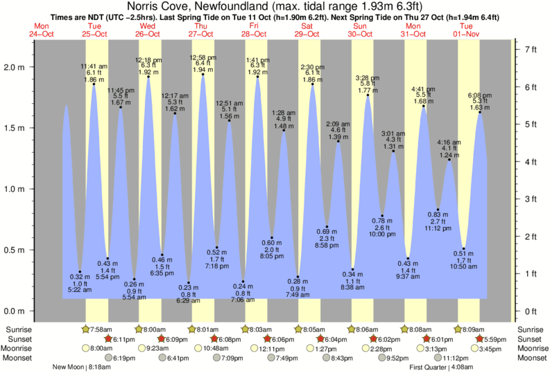 Lobster Cove Tide Chart