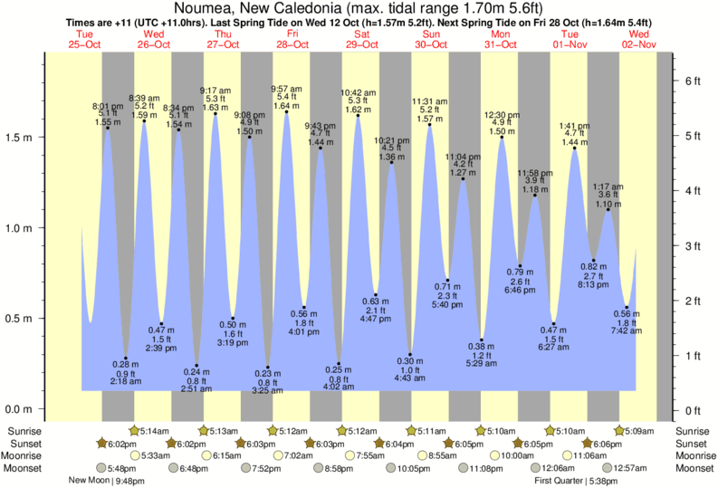 Daily Tide Chart